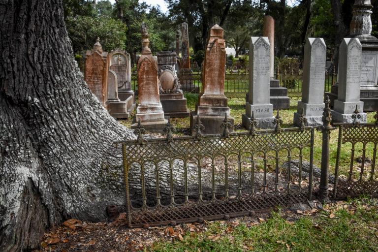 HSU Mississippi Cruise cemetary